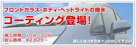 �R�[�e�B���O�o��I