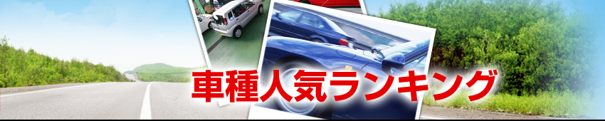 車種人気ランキング